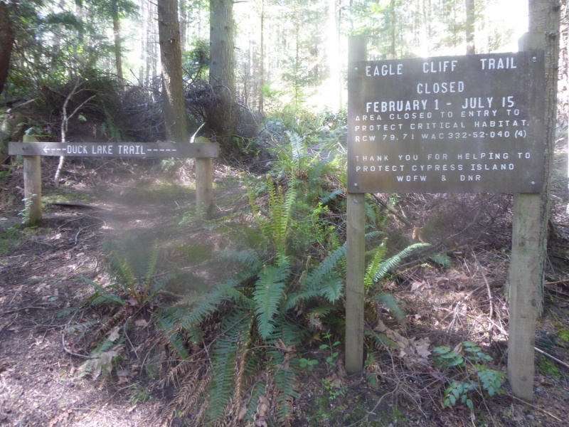 Hike to Pelican Beach, about 2 miles away