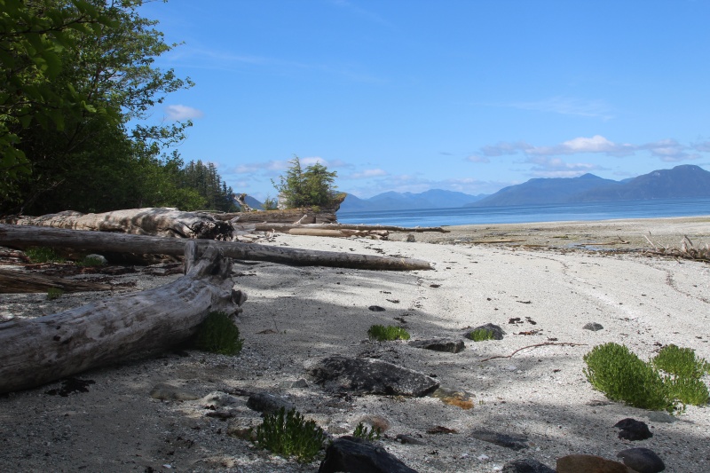 Home Bay (Whale Channel)