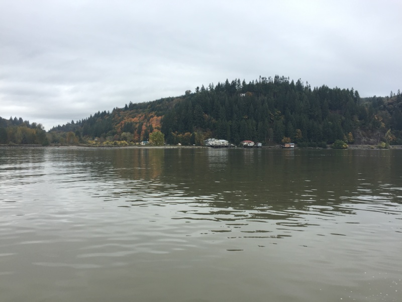 Homes along the shore