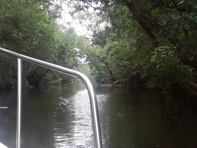 Hontoon Dead River Cut