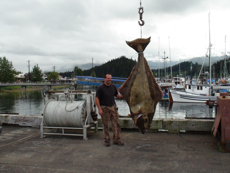 Hoonah Harbor Master with 405 lb halibut