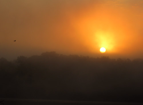 Hudson Sunrise 1