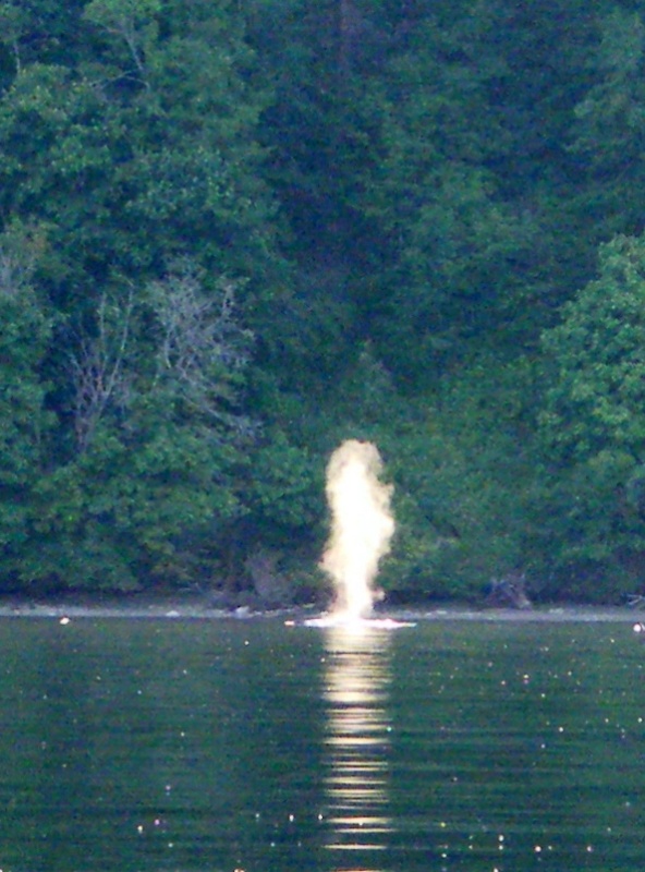 Humpback