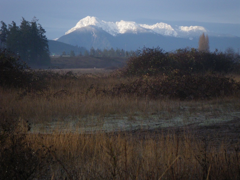 Hurricane Ridge,Port Angeles WA, aftger a new snow, viewed from Sequim, about 18 miles, and the is about as close as I like to be to a hurricaine