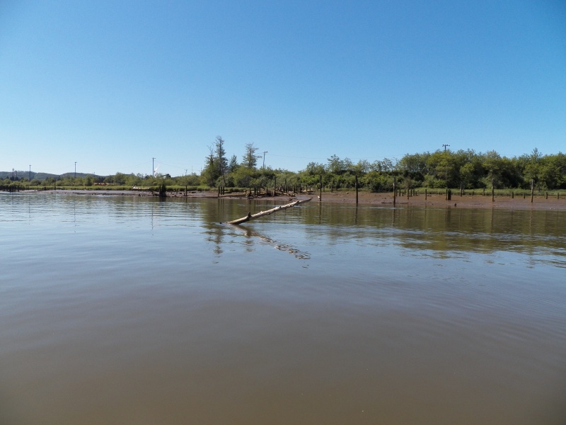 I came across quite a few of these.  This isn't a piling, it is a log that is stuck into the bottom of the middle of the river.  I scanned it with my sonar.  It is 24 feet deep here and it is stuck at this angle, so it is at least a 60 foot tree.  The tide is low.  At other levels it would be right below the surface.