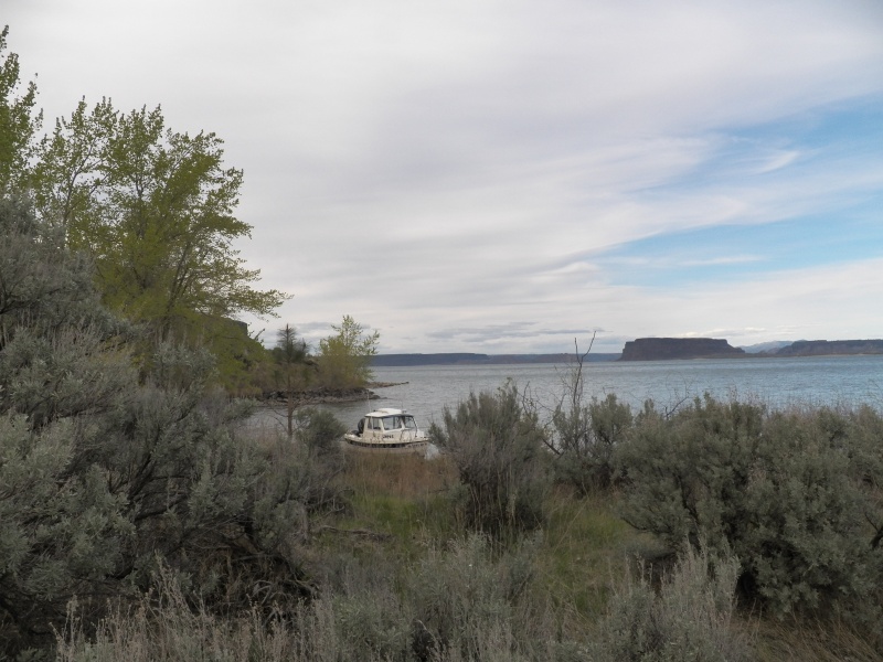I found a crescent shaped bay and "dropped anchor" between boulders on the point and tied a stern line to the cottonwood.  Kept me off the beach even when the wind howled that night.