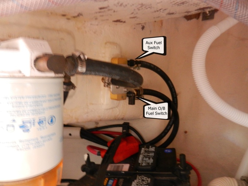 I split the output of the Racor into a Y-fitting and put two valves on the outputs, one for the main engine, and one for the auxiliary port.