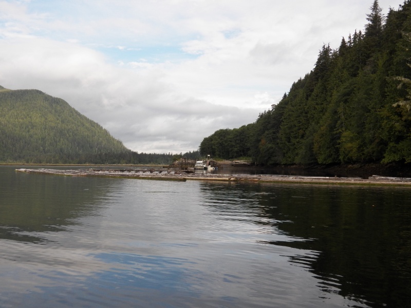 I then went to Holberg because nobody goes to Holberg.  This is the marina.   Holberg is a mile away.