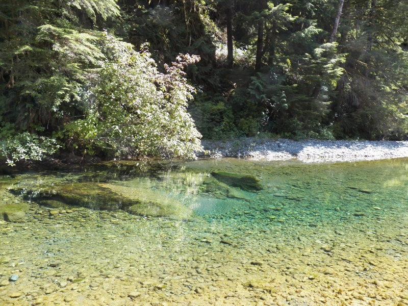 I took my bike up the Tahsis river.  It doesn't look deep, but it's over my head.