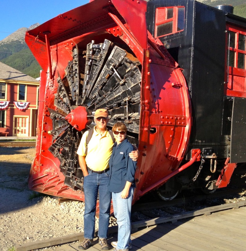 Ice and snow removal system for the train