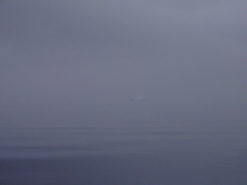 ice burg in the fog trying to make tracy arm cove