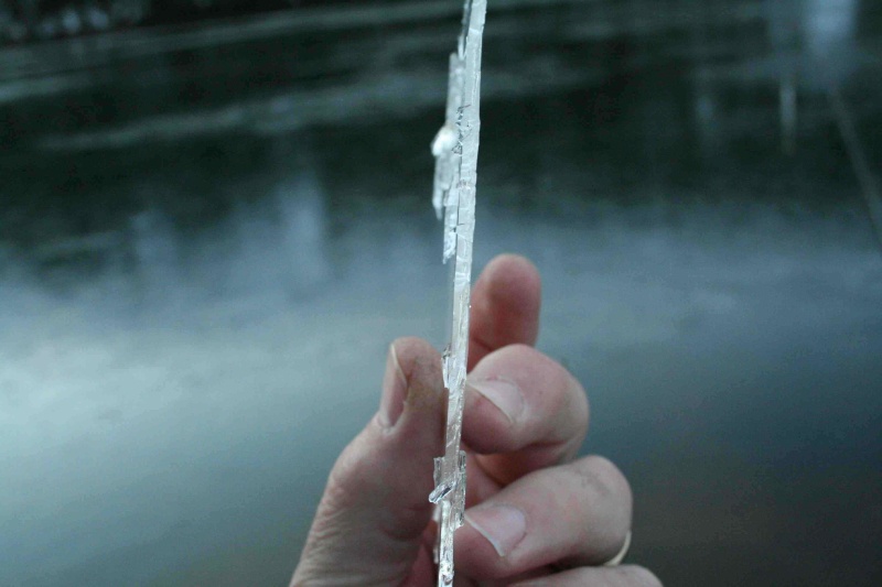 Ice formed in saltwater cove overnight, all of main Bay (large area of water) also iced over.  I did not know that saltwater iced over at 20 degree overnight temps, especially in a large body of water