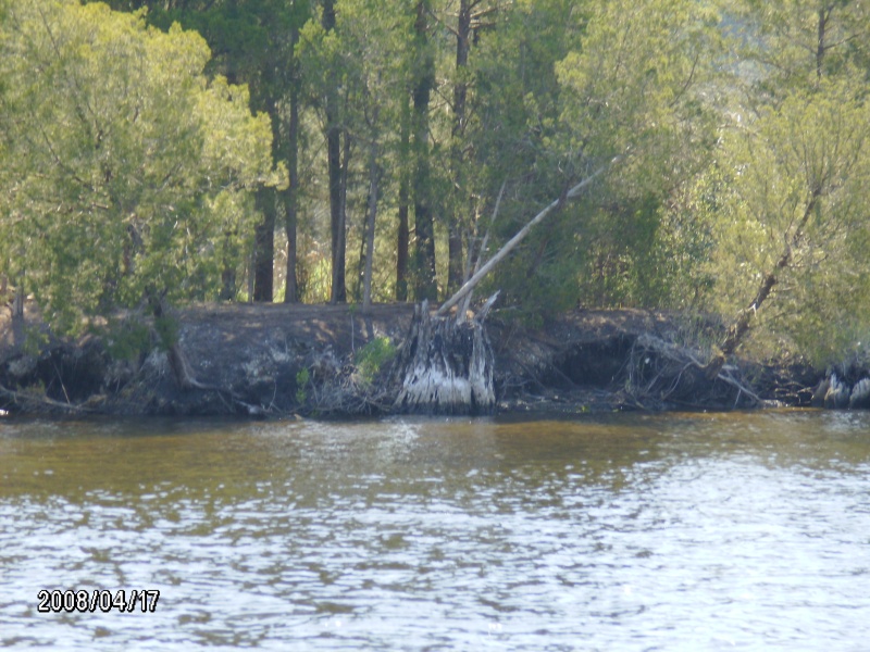 ICW on the way to Bath,NC