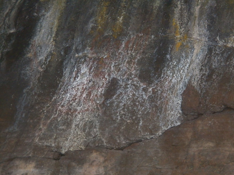 I'm not convinced that Petroglyph Cove ever had petroglyphs.  There are some reddish stains (which could indicate obscured pictographs), but there are all kinds of mineral stains on the overhang.