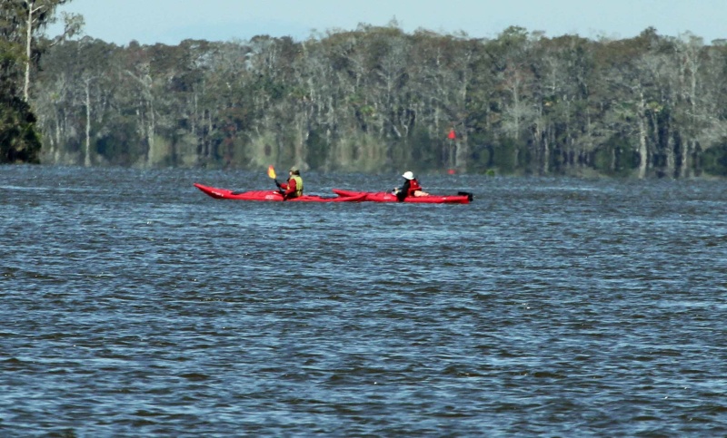 IMG 0106 kayaks on the river
