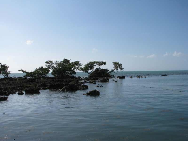 IMG 0132