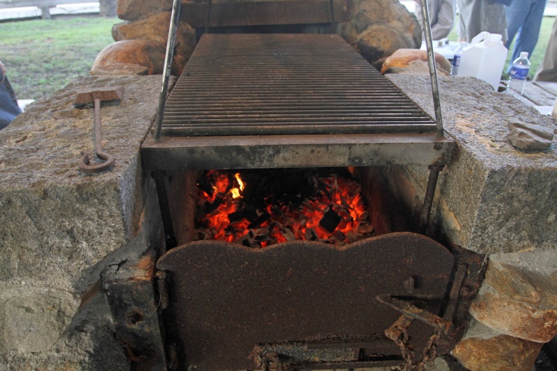 IMG 0170 coals for strip steaks