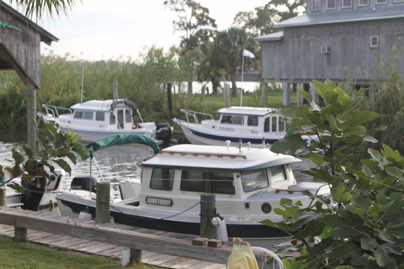 IMG 0211 Sunday moring C Dory