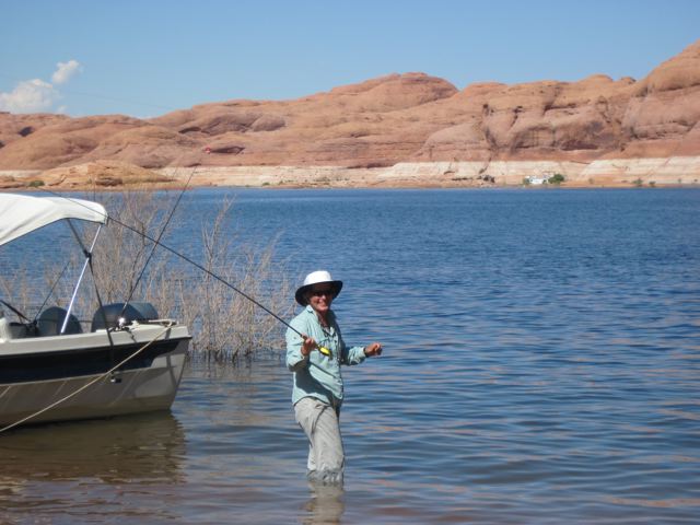 IMG 0581
