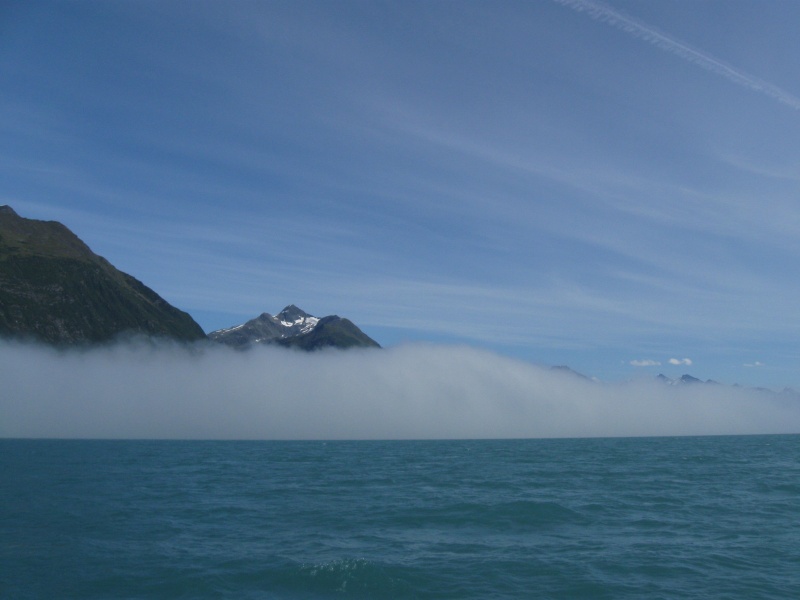 IMG 0668