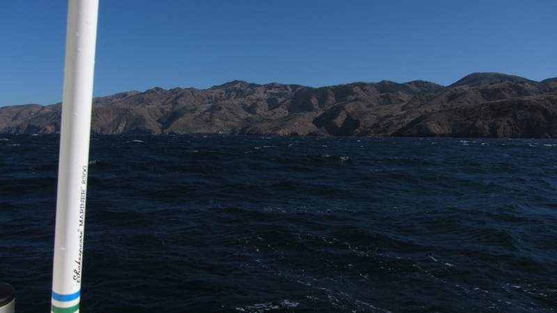 IMG 0722