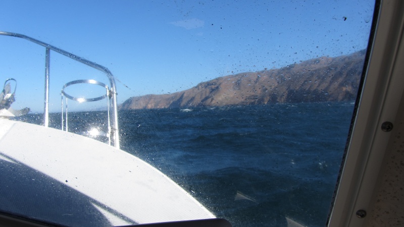 IMG 0733