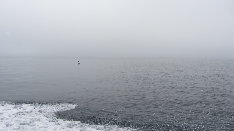 IMG 0800