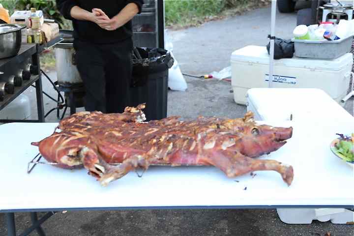 IMG 9414