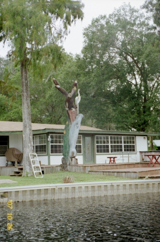 IMG009