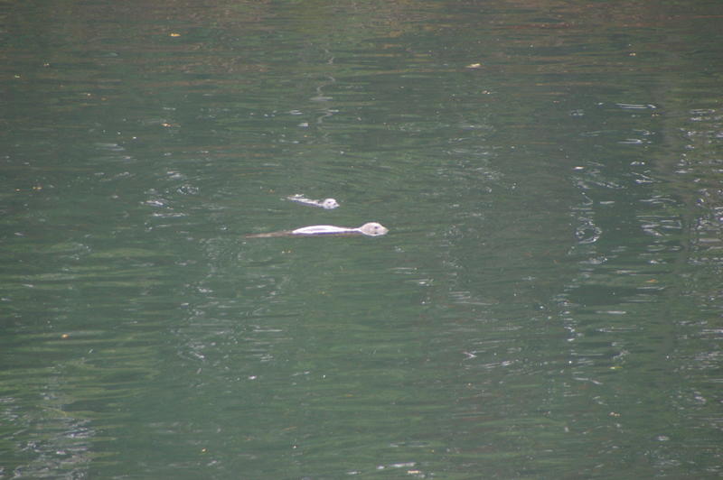 IMGP1789