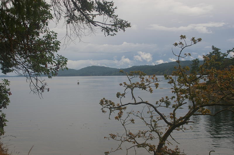 IMGP1790