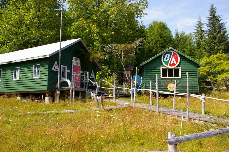 IMGP2267