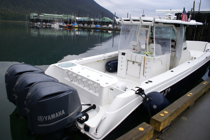 Inside Passage 2011 235 -Petersburg - Triplets on Zenith's tender.