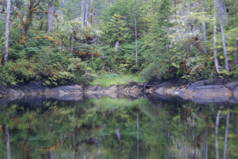 Inside Passage 2011 353 - Southbound, Codville Lagoon Marine Park