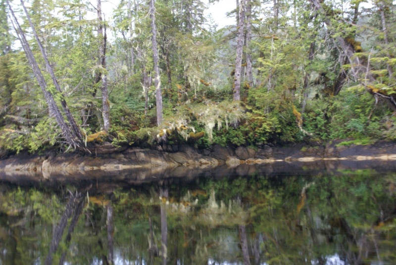 Inside Passage 2011 354 - Southbound, Codville Lagoon Marine Park