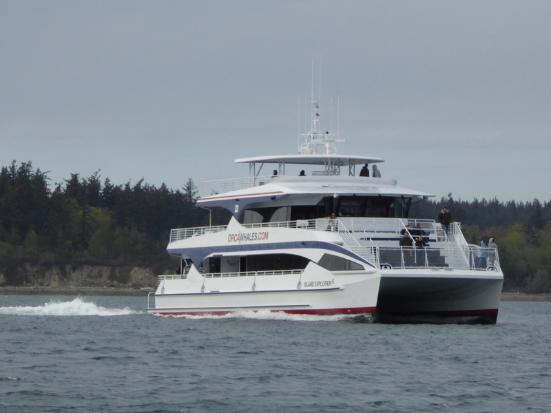 Island Explorer 5 whale watching boat returning to Cap Sante marina