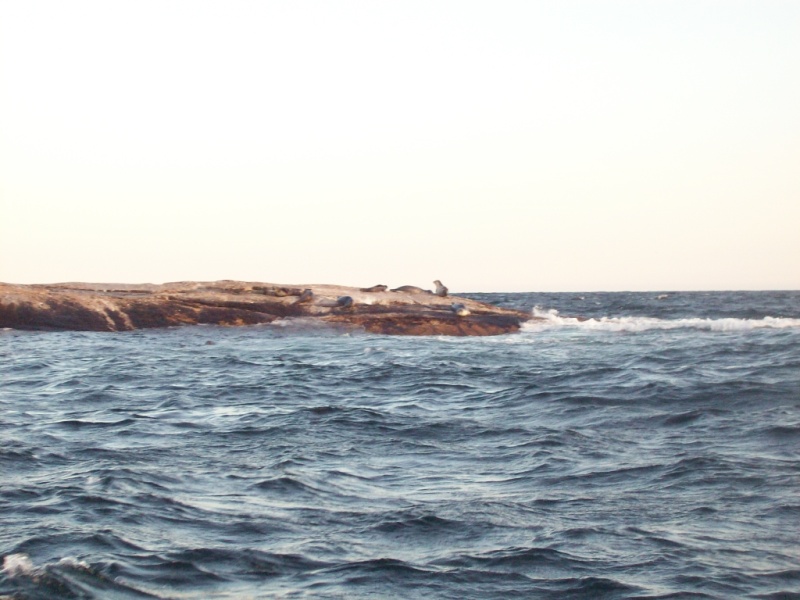Isle of Shoals Sep 26 2009
