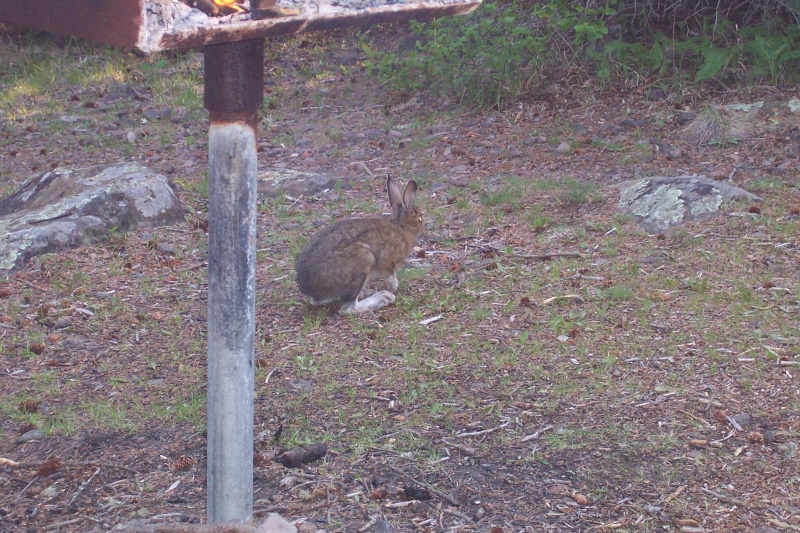 Isle Royale 2007 020