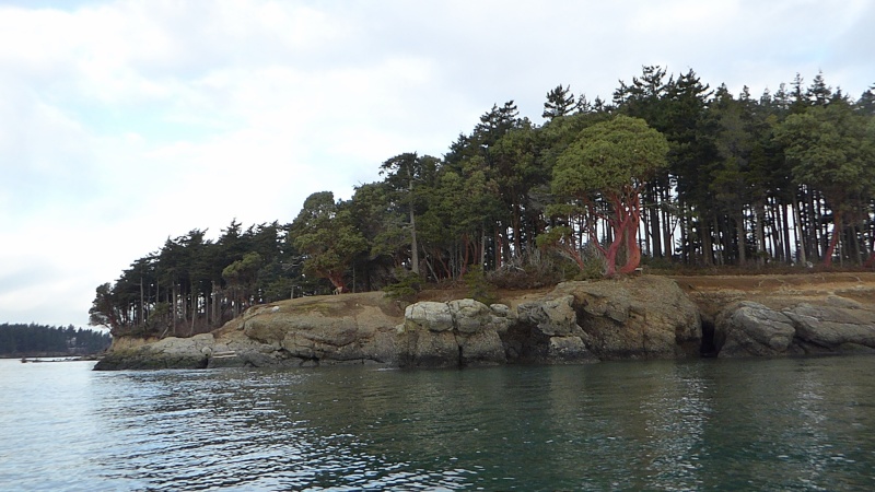 Jan15th-08-Clark Island