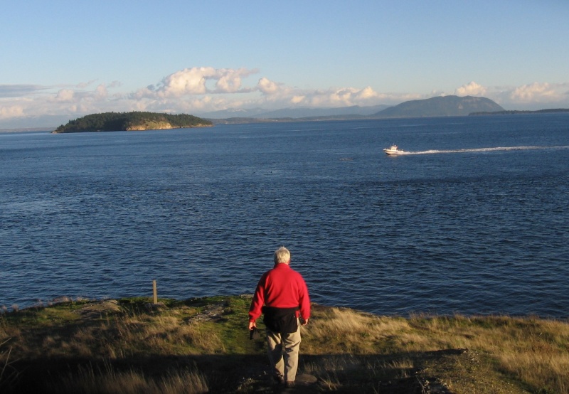 Johnston Point looking east, Matia Island in background