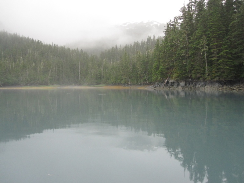 July 28, 2012. Head of Pigot Bay. Salmon stream in center.