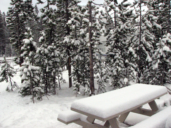June 11th... let it snow, let it snow, let it snow...