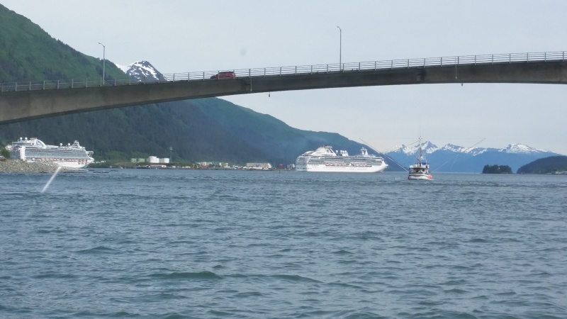 Juneau from the fuel dock.  6/8/2016