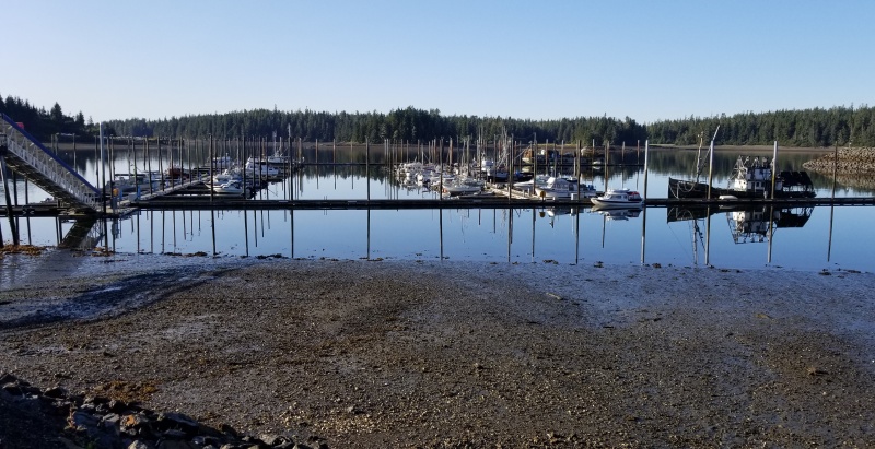 Kake harbor - very low tide