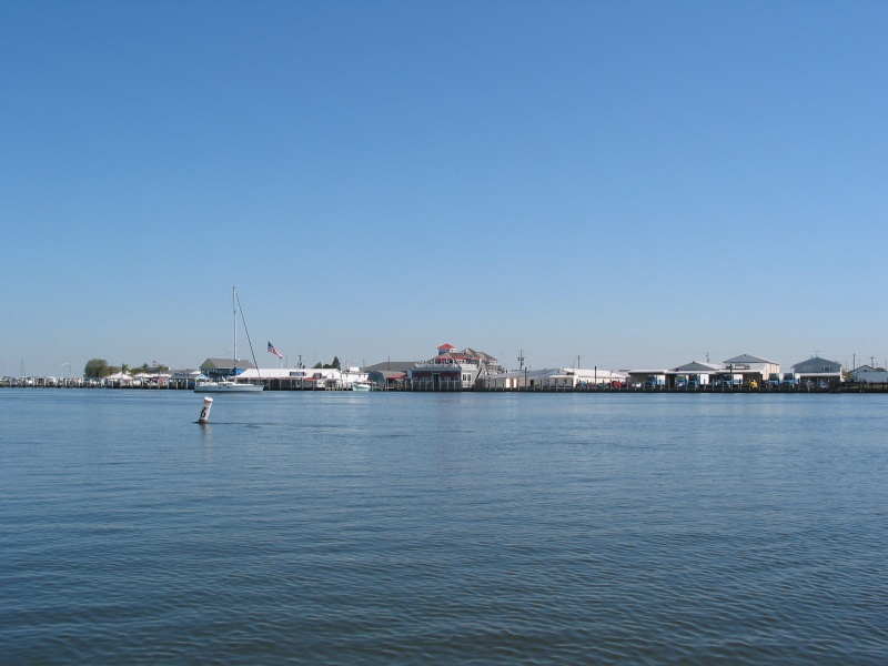 Kent Narrows; bars, beans, and boats