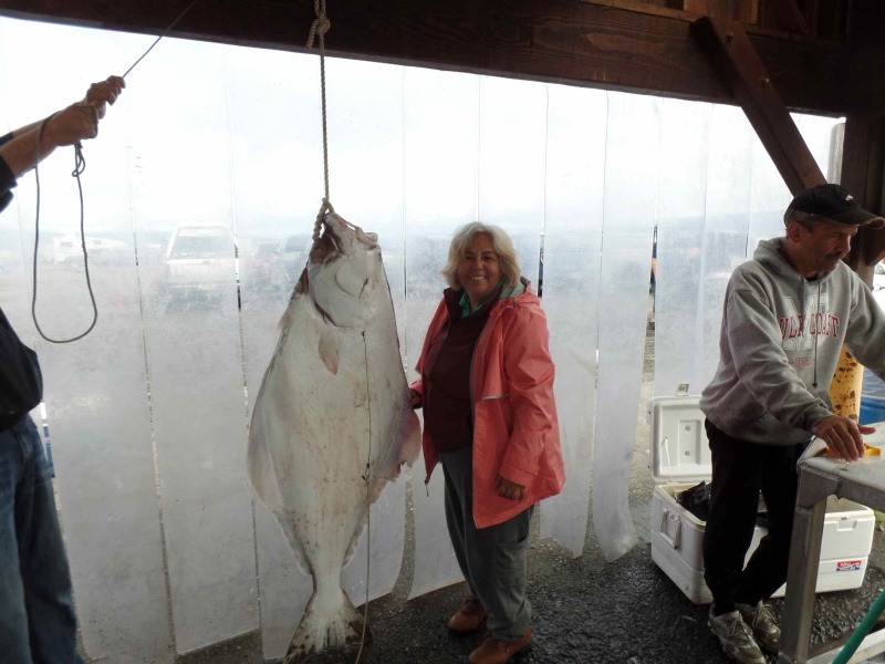Kim with her "First Alaska fish"  125#'s. She is now ruined for life!
