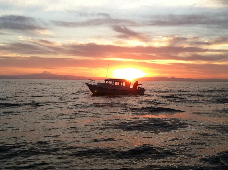king fishing the San Juans