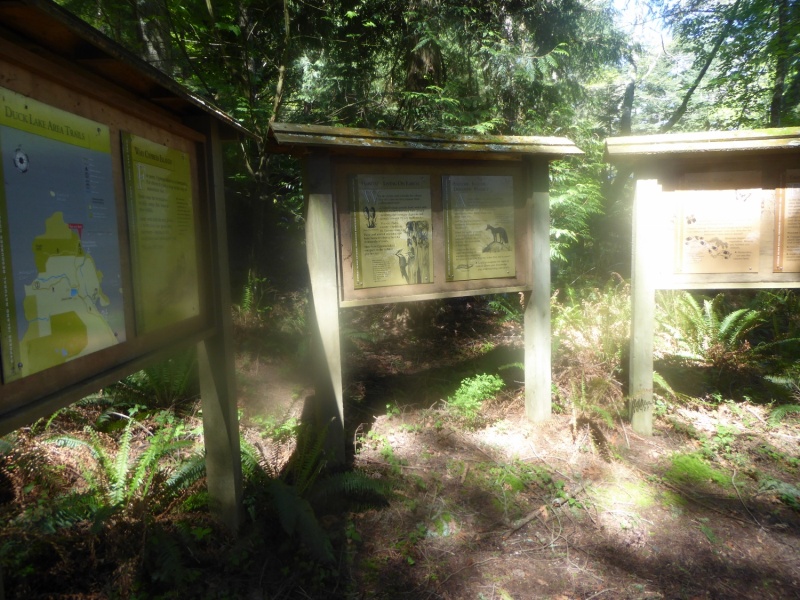 Kiosks at Pelican Beach