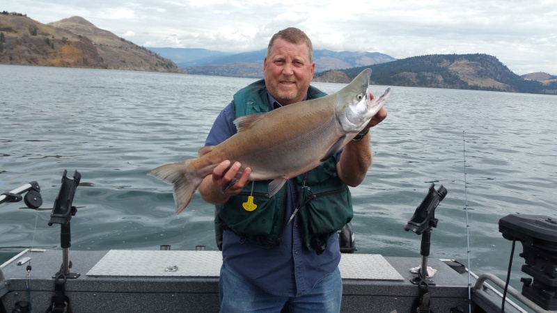 Kokanee 8.77 lbs 
BC, Canada 08 2015