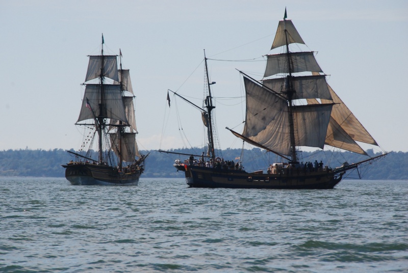 Lady Washington and Hawaiian Chieftan, Bellingham Bay